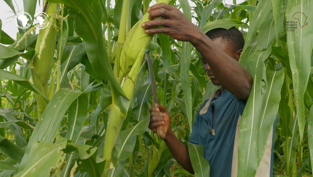 Unlocking Climate Adaptation Finance through Climate Risk Management