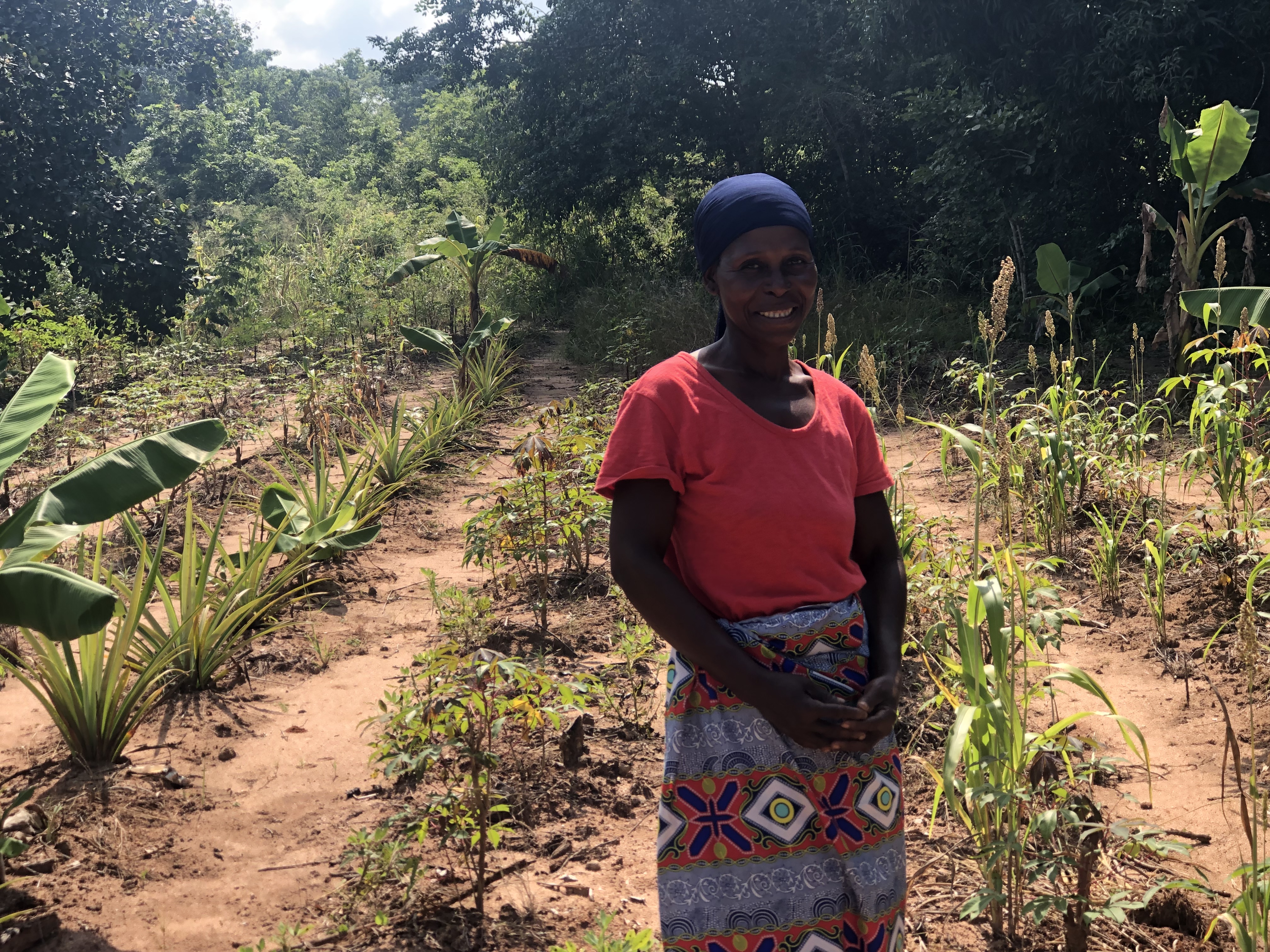 Mozambique - Synthropic Agriculture as a Strategy to Foster Resilience, Climate Adaptation, and Recovery of Vulnerable Communities Living in Degraded Marine and Coastal Ecosystems in Zambezia