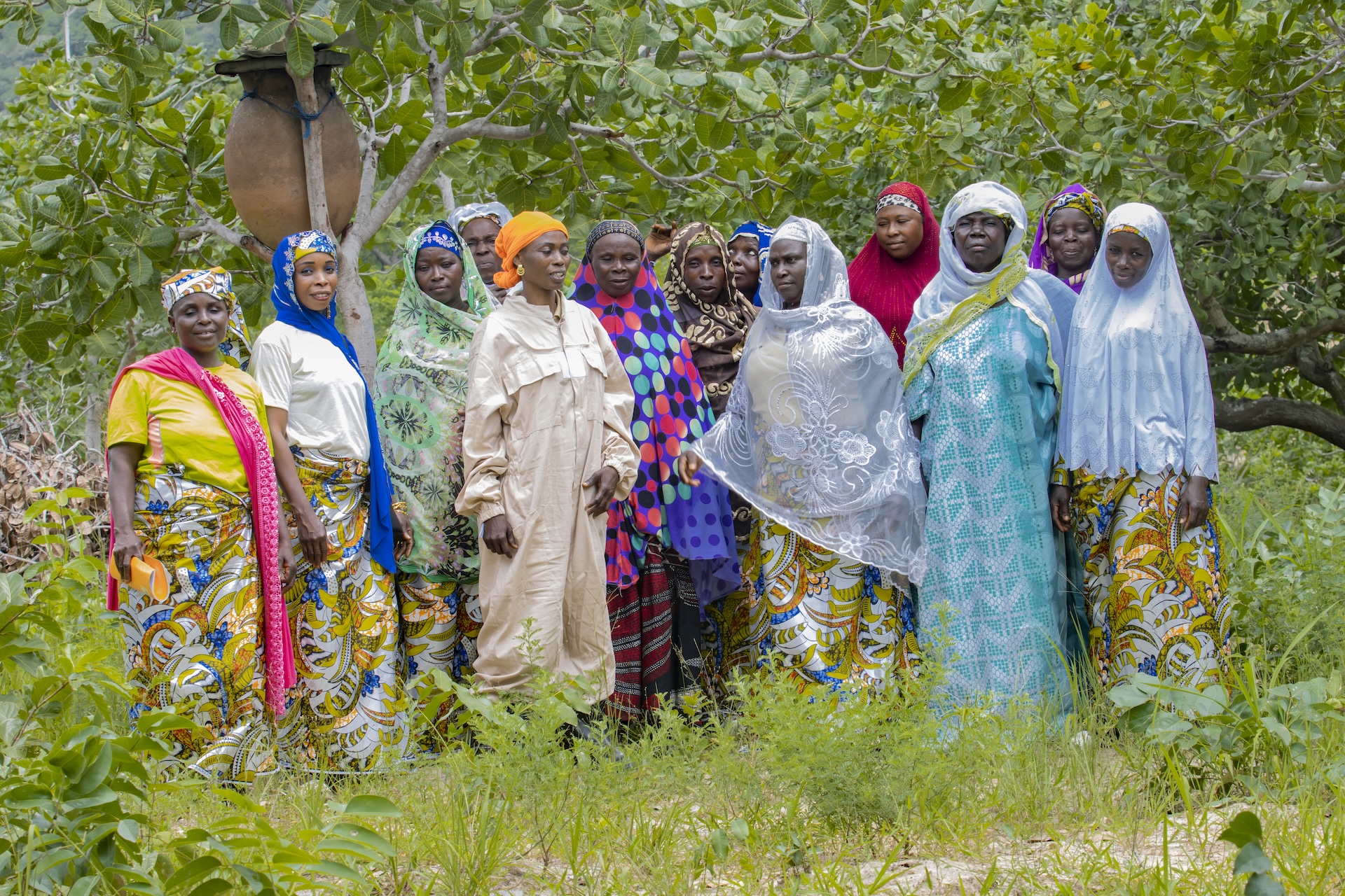 Togo - Burkina Faso - Towards Climate Resilient Shea Communities