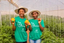 Multinational - Empowering Women and Youth for Entrepreneurship and Job Creation in Climate Adaptation and Resilience 