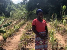 Mozambique - Synthropic Agriculture as a Strategy to Foster Resilience, Climate Adaptation, and Recovery of Vulnerable Communities Living in Degraded Marine and Coastal Ecosystems in Zambezia