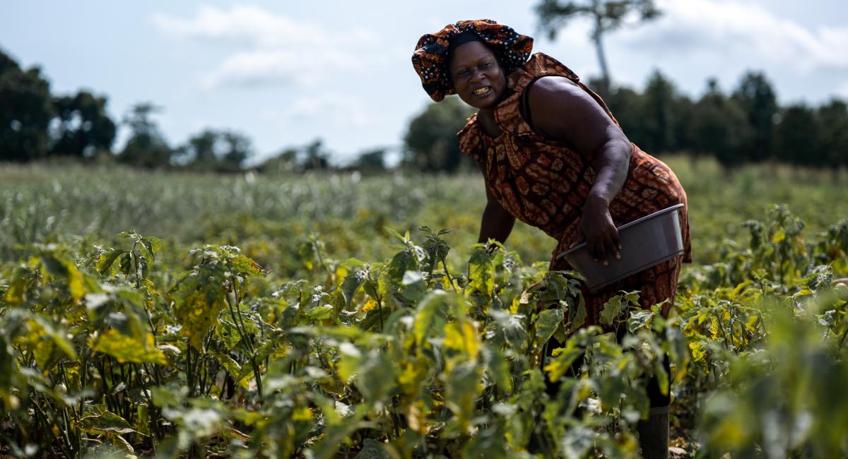 Côte d'Ivoire - Preparation for Access to Climate Finance for a Transition Toward a Green and Climate-Resilient Economy