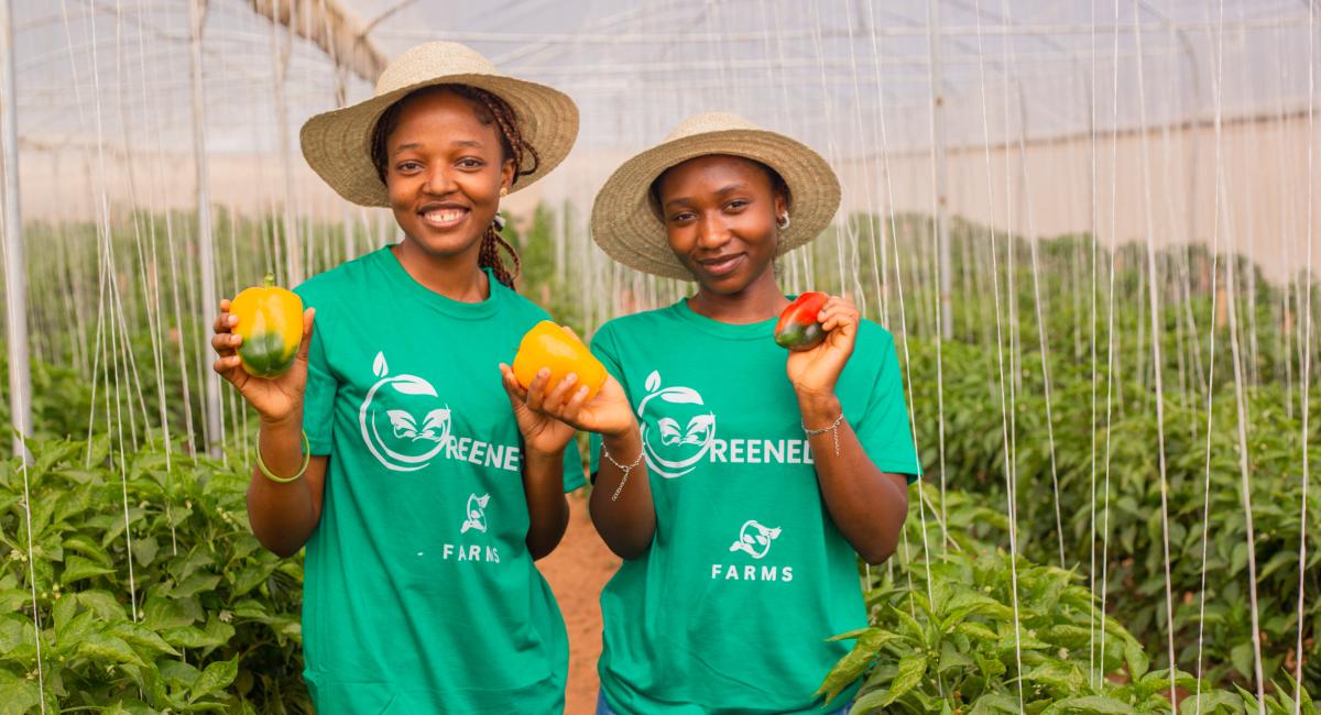 Multinational - Empowering Women and Youth for Entrepreneurship and Job Creation in Climate Adaptation and Resilience 