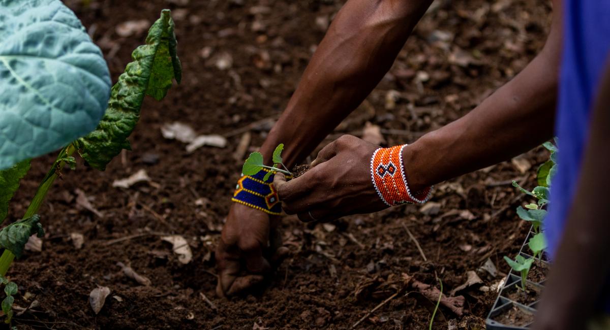 Advancing Kenya’s Green Growth Agenda