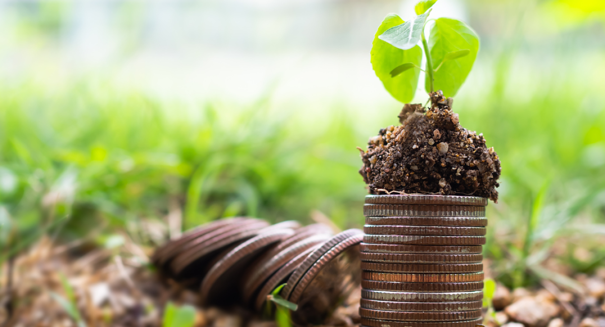 Multinational - Establishment of a South-South Cooperation Programme to Support Direct Access to Climate Finance 