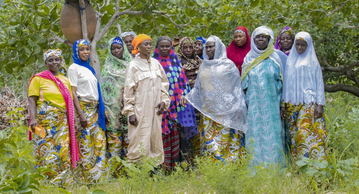Togo - Burkina Faso - Towards Climate Resilient Shea Communities