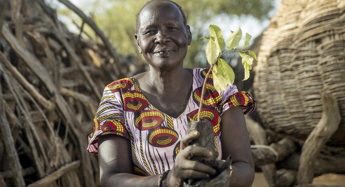 Multinational - Enhancing gender equality in access to land resources for transformative climate change adaptation in the IGAD region 