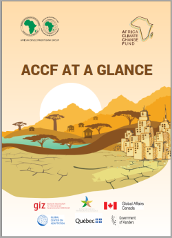 ACCF AT A GLANCE