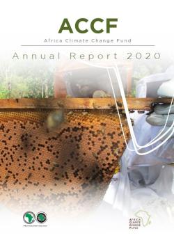 [Annual Report - 2020] In 2020, the Fund mobilized about $9.274 million from the Government of Flanders (€2.256 m) and from two new donors, Global Affairs Canada (CAD 7 m) and the Government of Quebec (CAD 2 m)