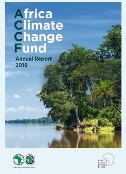 [Annual Report - 2019] In 2019, the Fund made significant progress towards achieving its objectives with the ongoing portfolio of eight projects